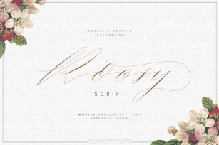 Roosy Script Font Font Download