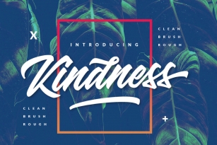 Kindness Font Font Download