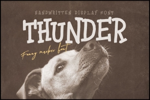 Thunder Font Font Download