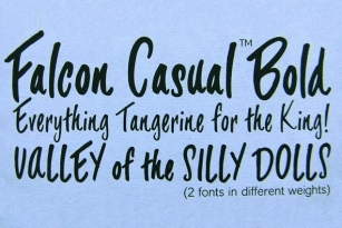 Falcon Casual Font Font Download