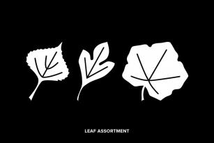 Leaf Assortment Font Font Download