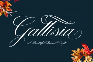 Gallisia Script Font Font Download