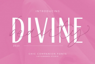 Devine Beauty Font Font Download