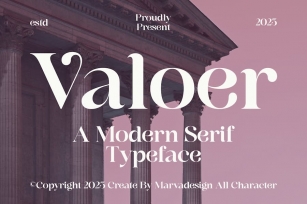 Valoer - A Modern Serif Font Font Download