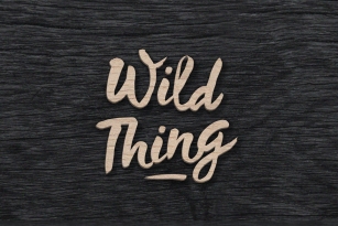 Wild Thing Font Font Download