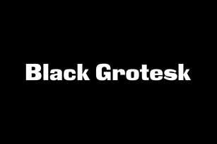 Black Grotesk Font Font Download
