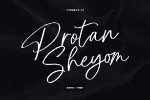 Protan Sheyom Font Font Download