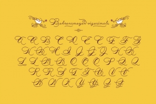 Behrensmeyer Vigesimals Font Font Download