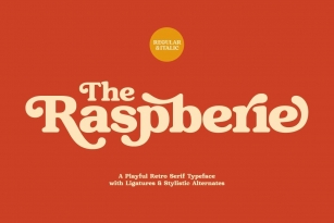 Raspberie Font Font Download