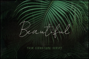 Beautiful SVG Font Font Download