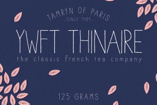 YWFT Thinaire Font Font Download