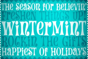 Wintermint PB Font Font Download