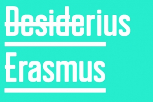 Erazm Font Font Download