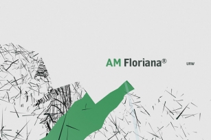 AM Floriana Font Font Download