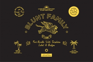 SP Blunt Font Font Download