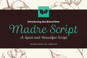 Madre Script Font Font Download