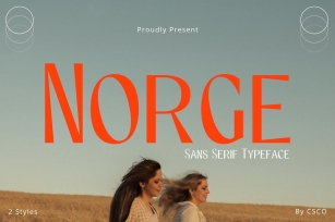 Norge â€“ Contemporary Sans Serif Font Download