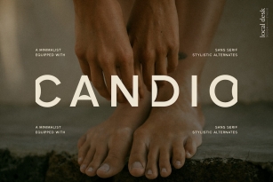 Candio Font Font Download