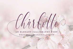 Charlotte Calligraphy Font Font Download