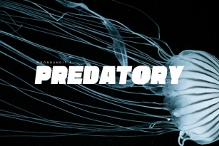 Predatory Font Font Download