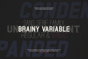 Brainy Variable Font Font Download