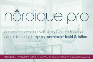 Nordique Pro Font Font Download