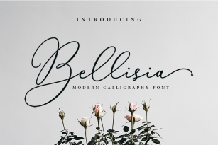 Bellisia Script Font Font Download