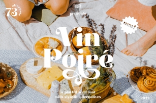 VinPoire Font Font Download