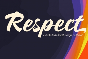 Respect Font Font Download