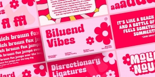 Biluend Vibes Font Font Download