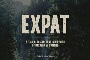 Expat Font Font Download