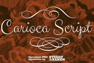 Carioca Script Pro Font Font Download