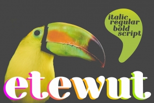 Etewut Serif Font Font Download