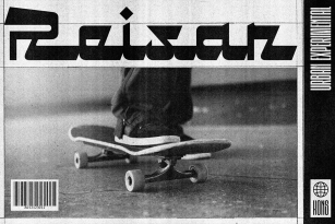 Reisar Font Font Download