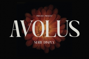 Avolus Display - A Modern Serif Font Font Download