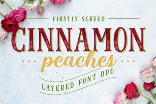 Cinnamon Peach Font Font Download