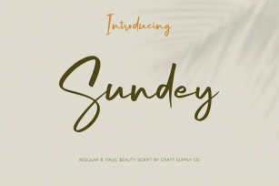 Sundey Font Font Download