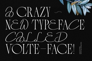 Volte Face Font Font Download