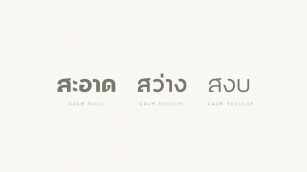 CALM Font Font Download