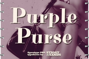 Purple Purse Pro Font Font Download