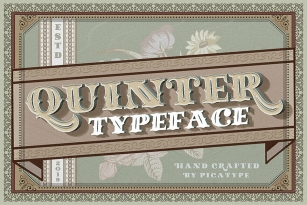 Quinter Typeface Font Font Download