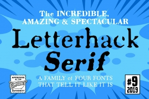 Letterhack Serif Font Font Download