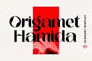 Origament Hamida Font Font Download