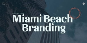 Integra Font Font Download