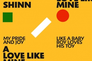 Shinn Font Font Download