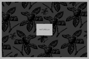 Naturella Font Font Download