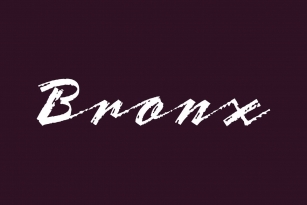 Bronx Font Font Download