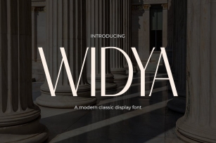 Widya - Classic Sans Serif Modern Font Font Download