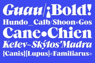 GuauBold Font Font Download