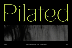 Pilated Font Font Download